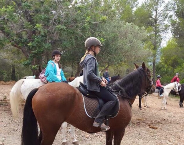 A lomos de un caballo pardo
